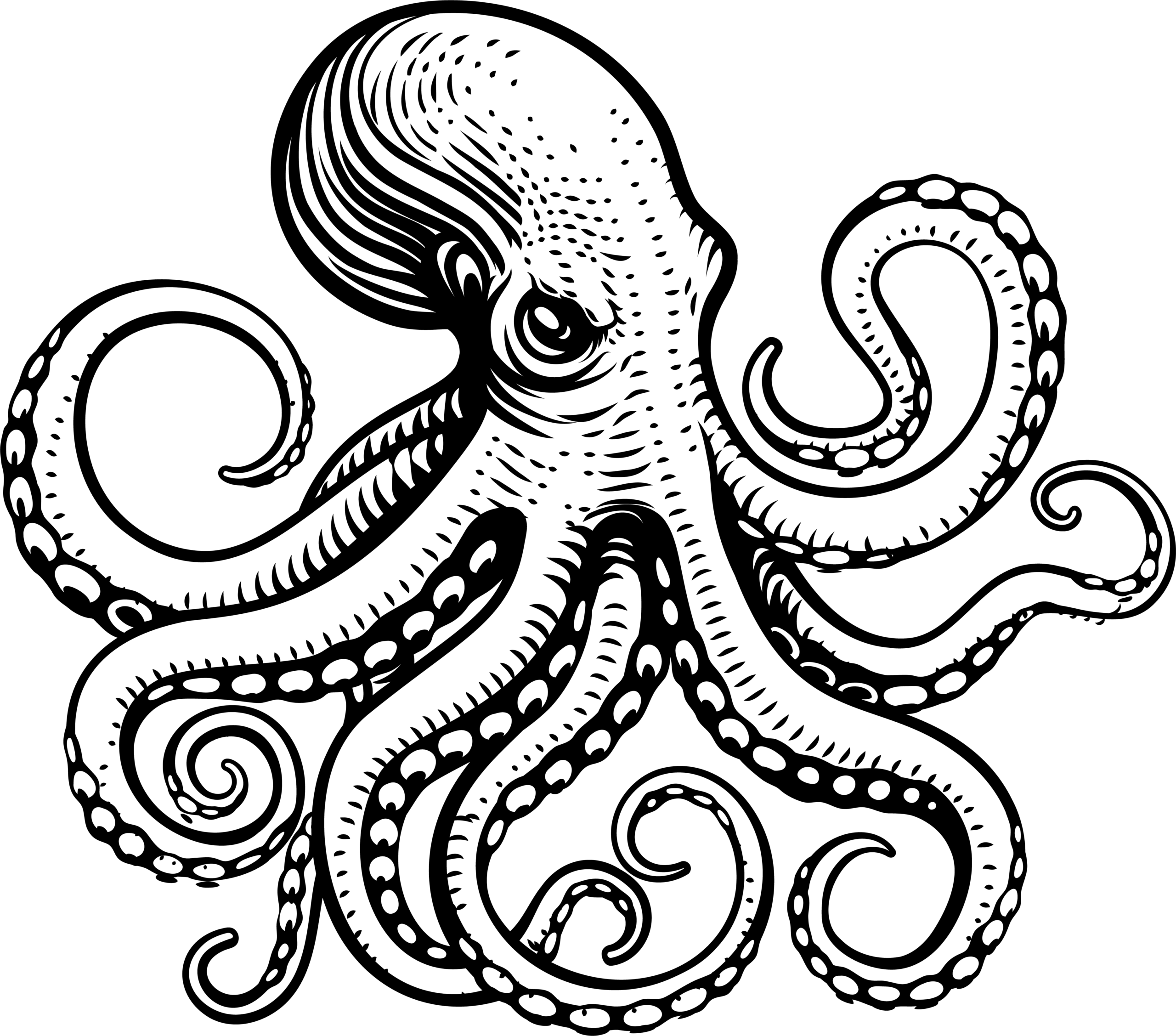 Seagoon (534600n) Logo